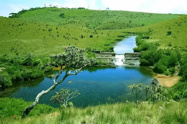 Horton Plains travel guide from Nuwara Eliya