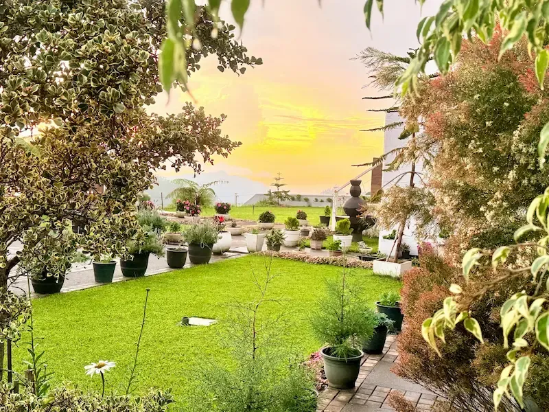 Quiet garden setting at Hilldale Retreat in Sri Lanka tea country